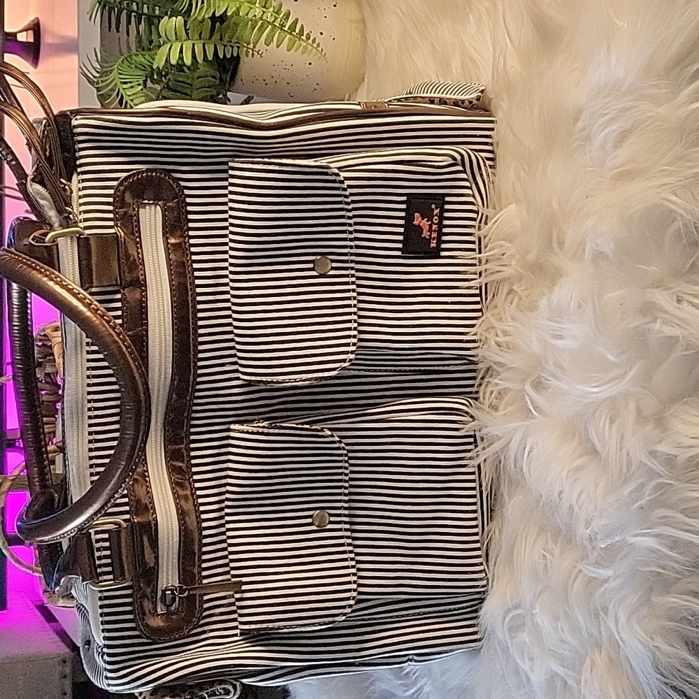 Pet carrier